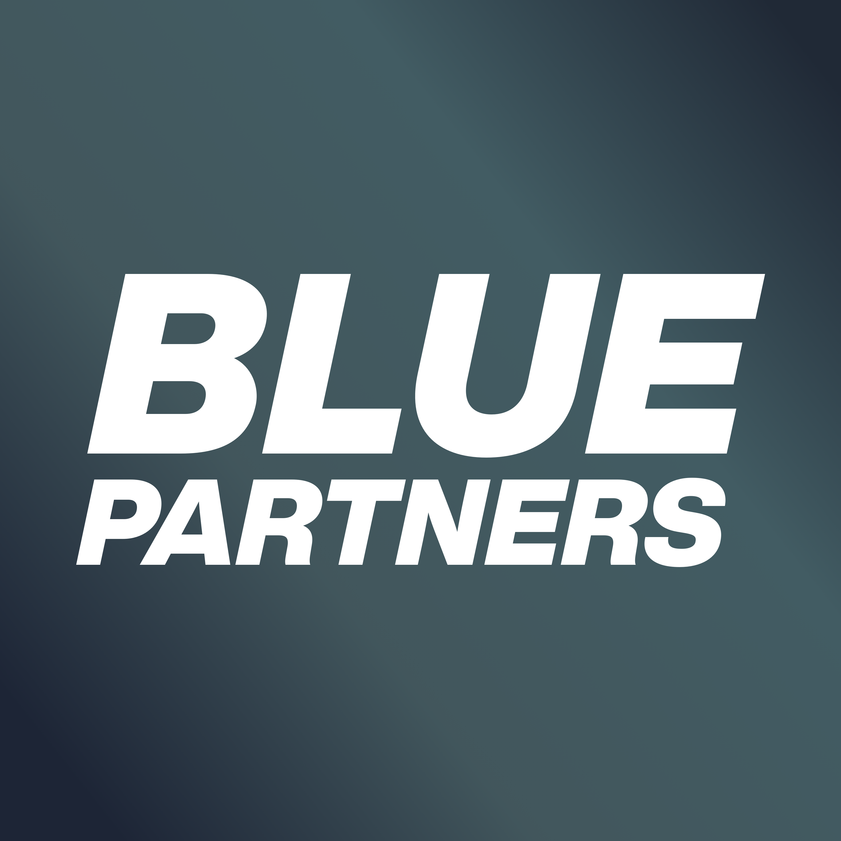 Blue Partners