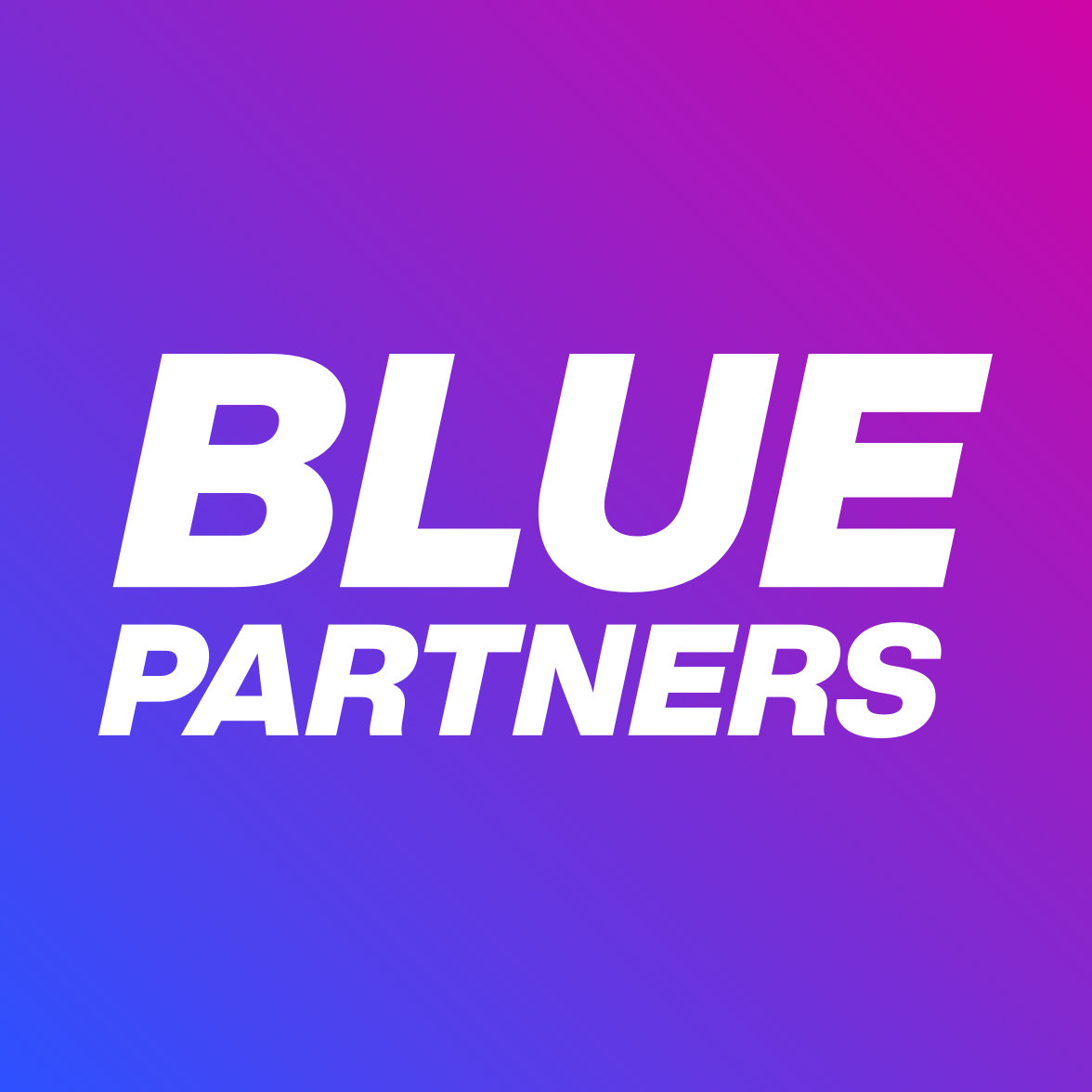 Blue Partners